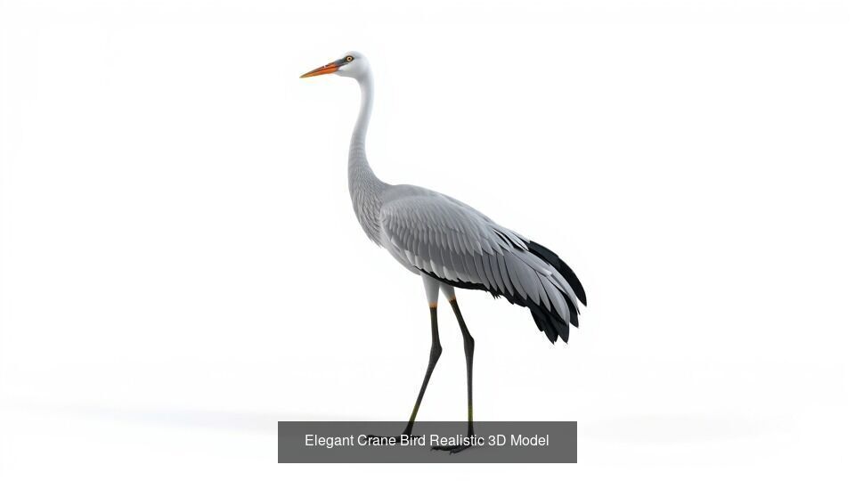 Wild Birds  set of 14  models 3D Model Collection_13