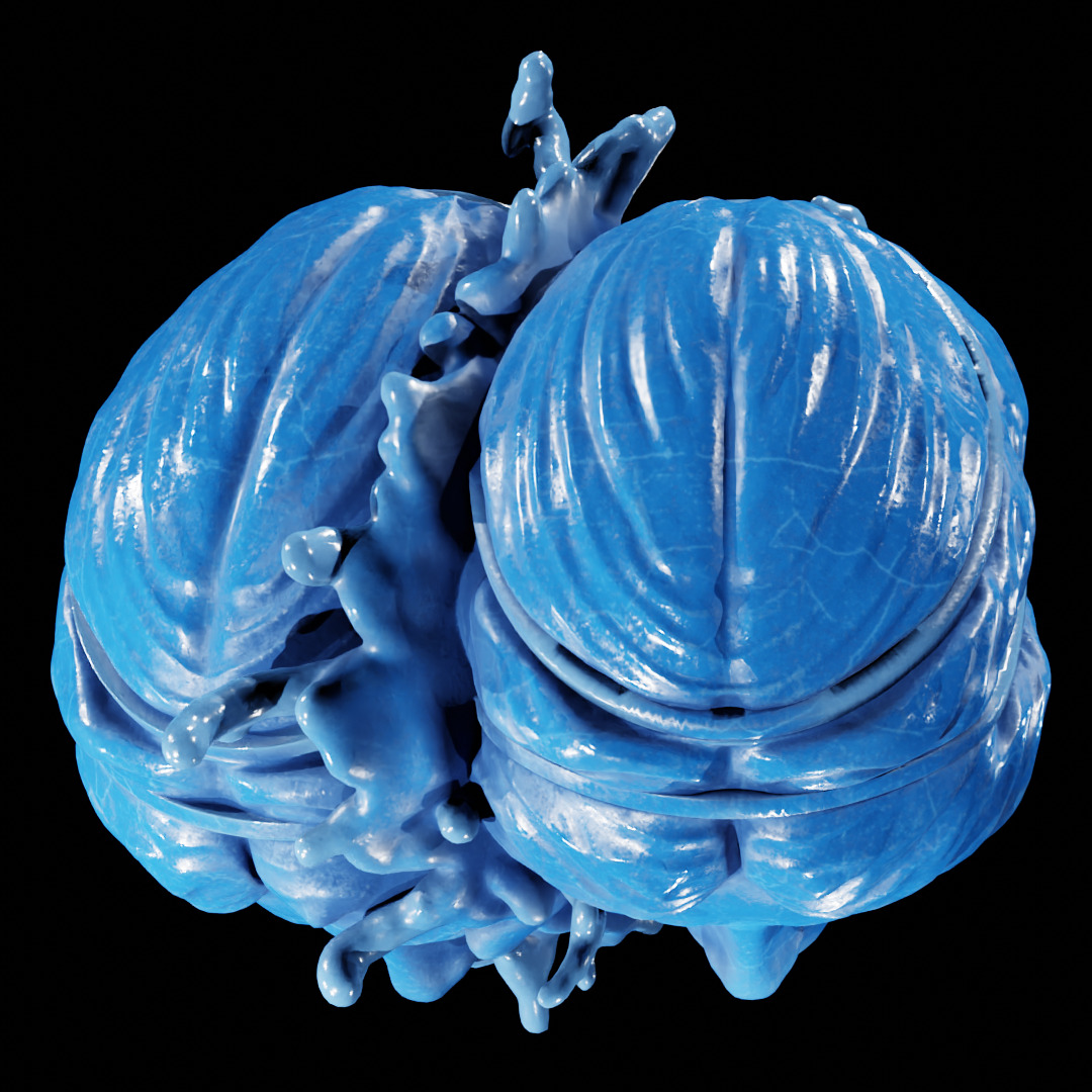 PATH OF EXILE - AUGMENTATION ORB - POE 3D print model_22