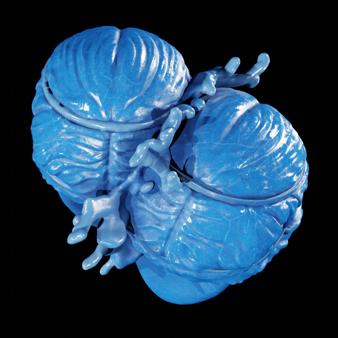 PATH OF EXILE - AUGMENTATION ORB - POE 3D print model_11