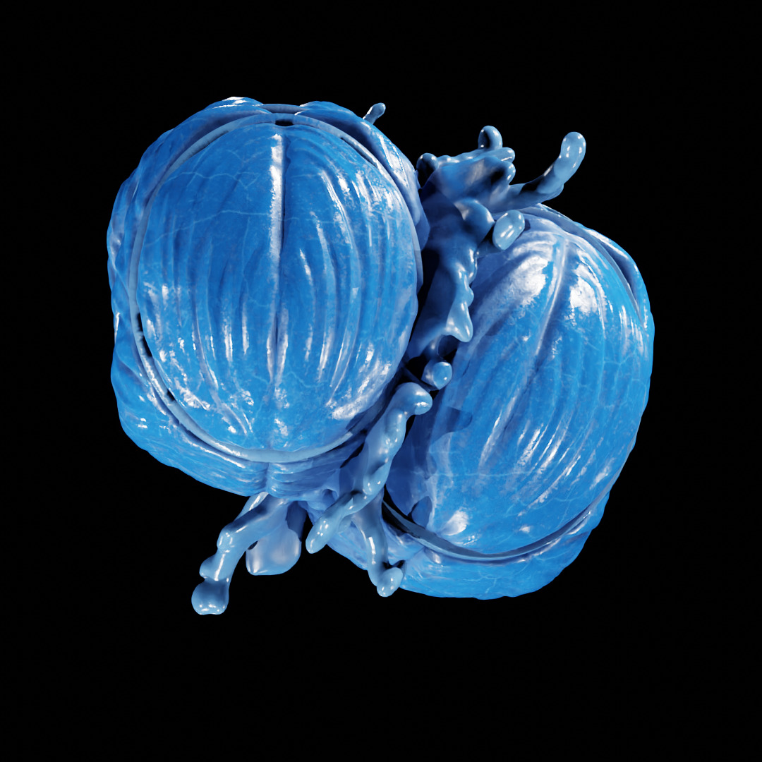 PATH OF EXILE - AUGMENTATION ORB - POE 3D print model_20