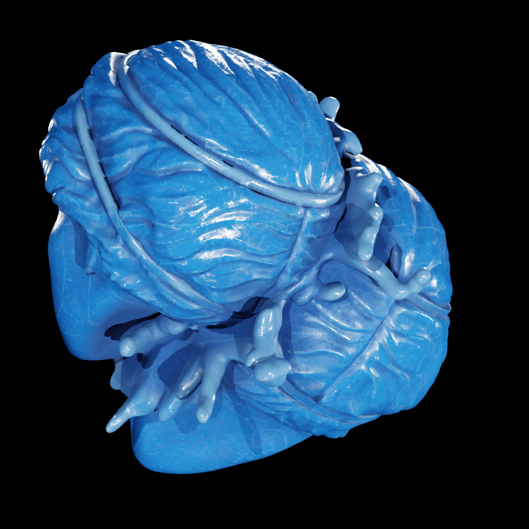 PATH OF EXILE - AUGMENTATION ORB - POE 3D print model_15