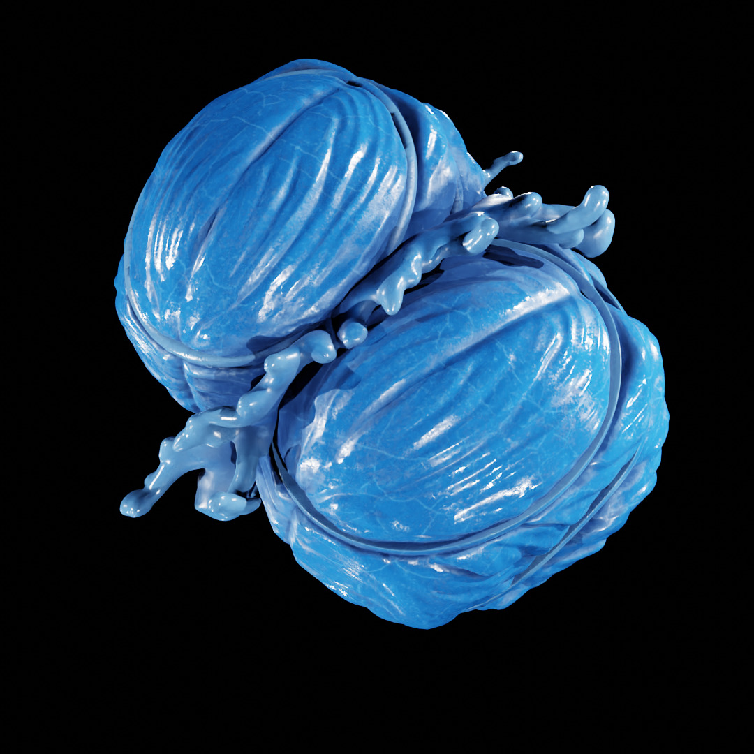 PATH OF EXILE - AUGMENTATION ORB - POE 3D print model_19