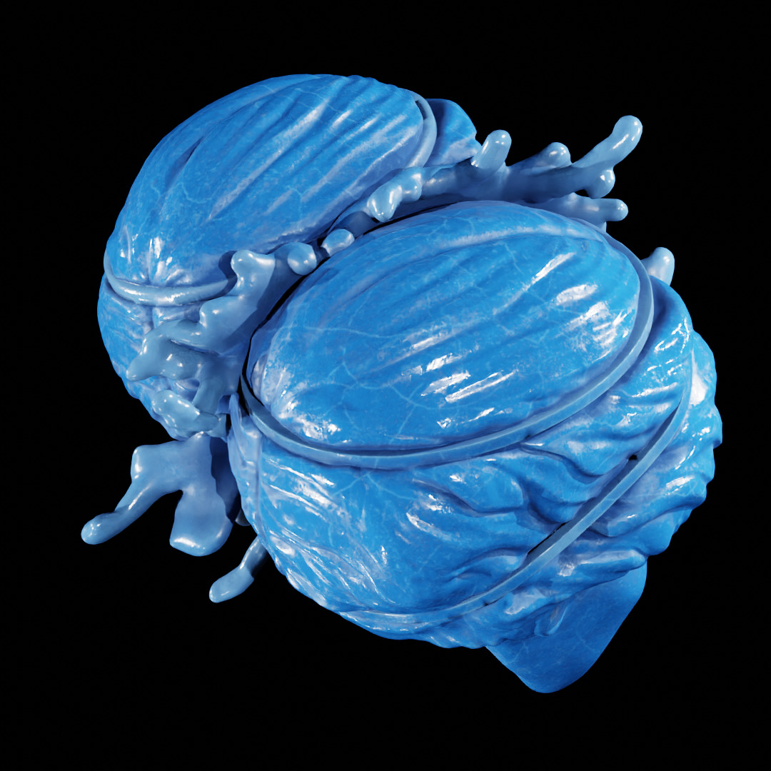 PATH OF EXILE - AUGMENTATION ORB - POE 3D print model_6