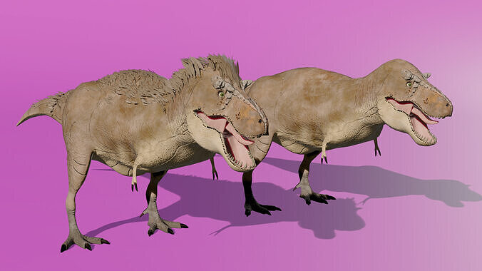 Tirannosaurus Rex scientifically reconstructed 3D model