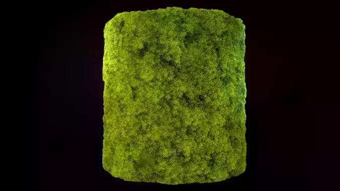 Seamless PBR Moss Substance Material
