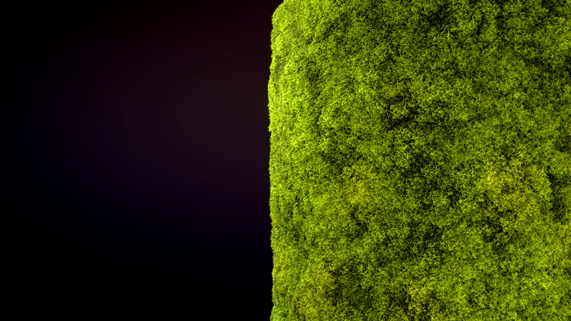 Seamless PBR Moss Substance Material Texture_3