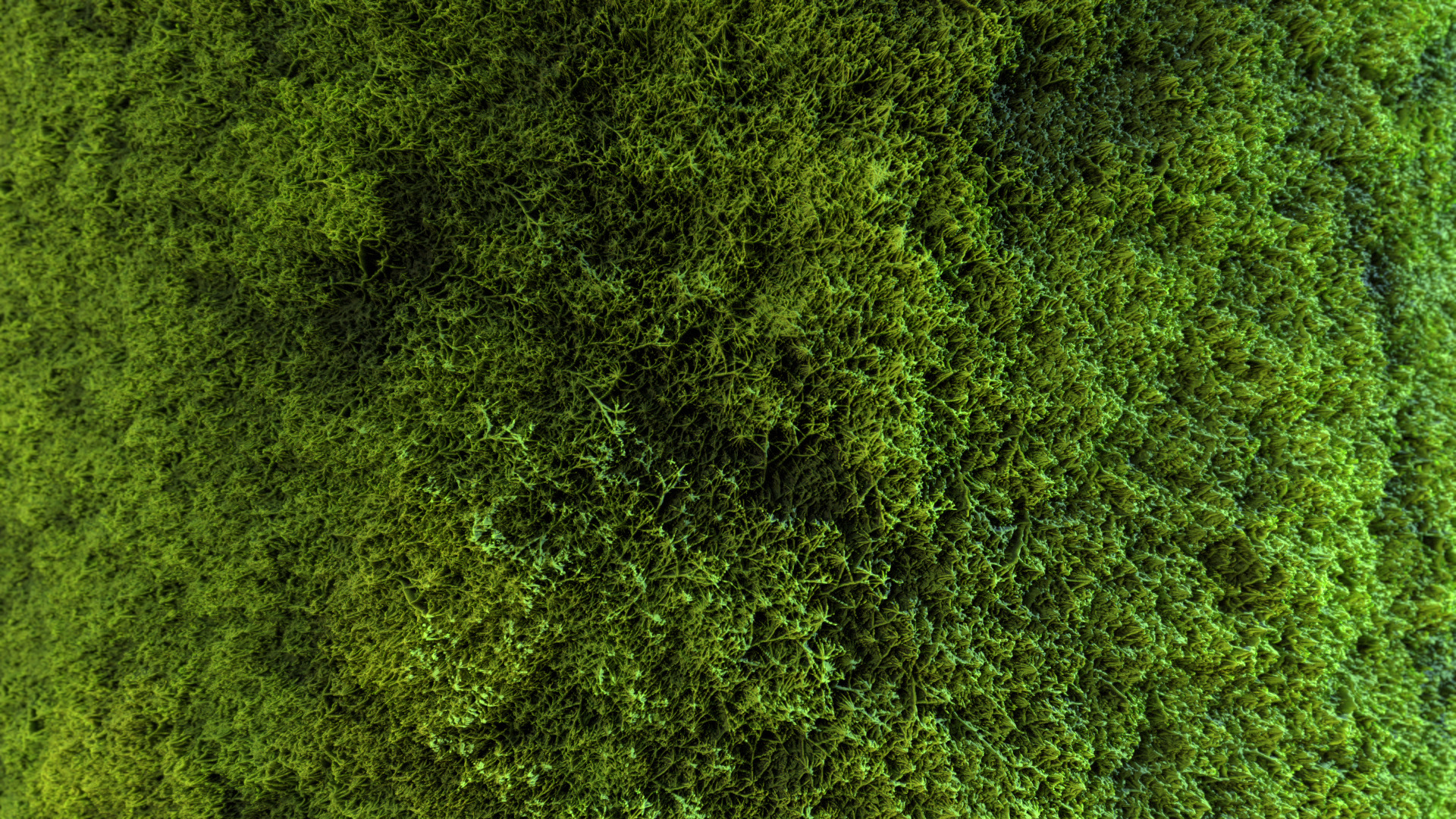 Seamless PBR Moss Substance Material Texture_2