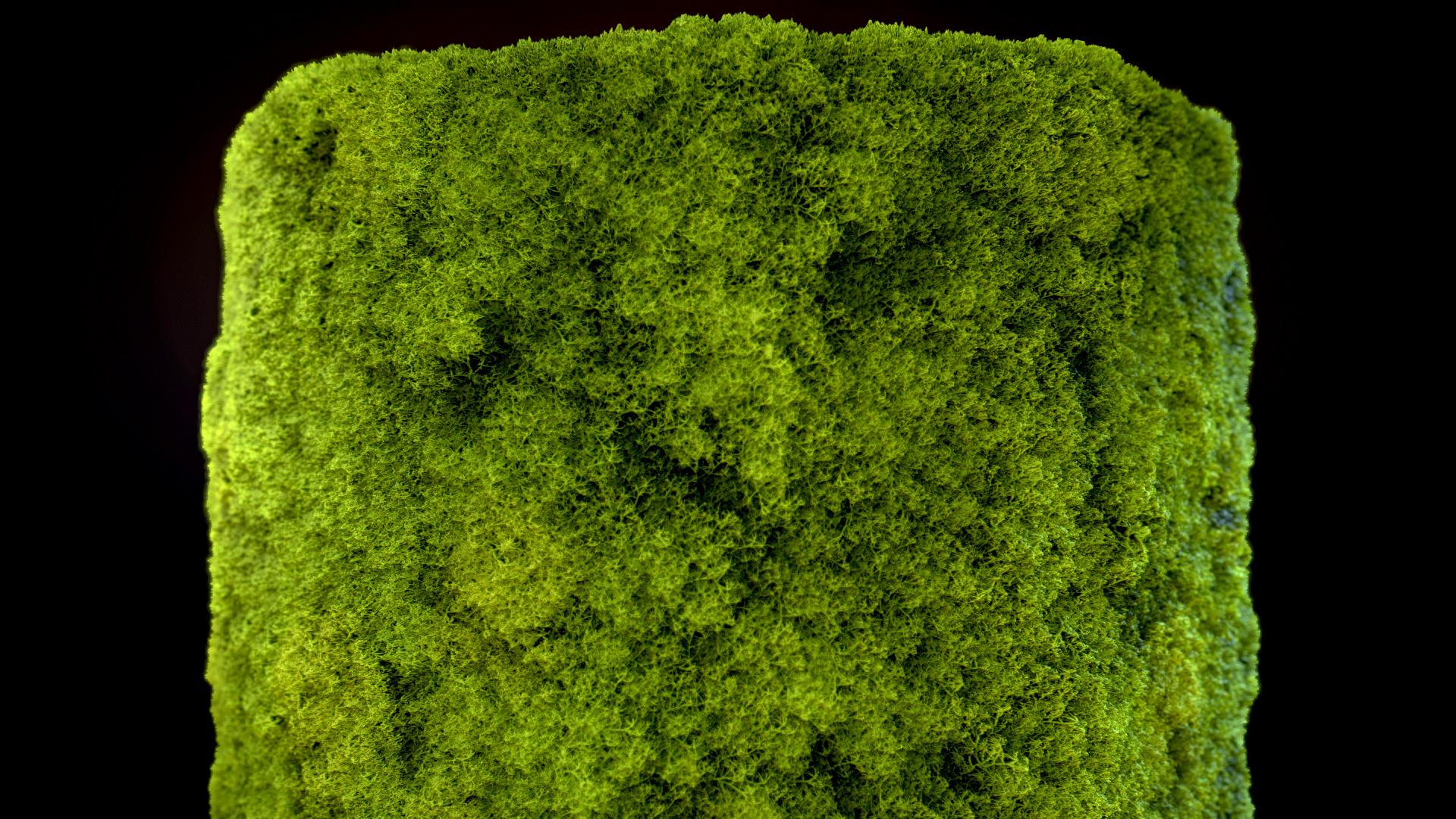 Seamless PBR Moss Substance Material Texture_1