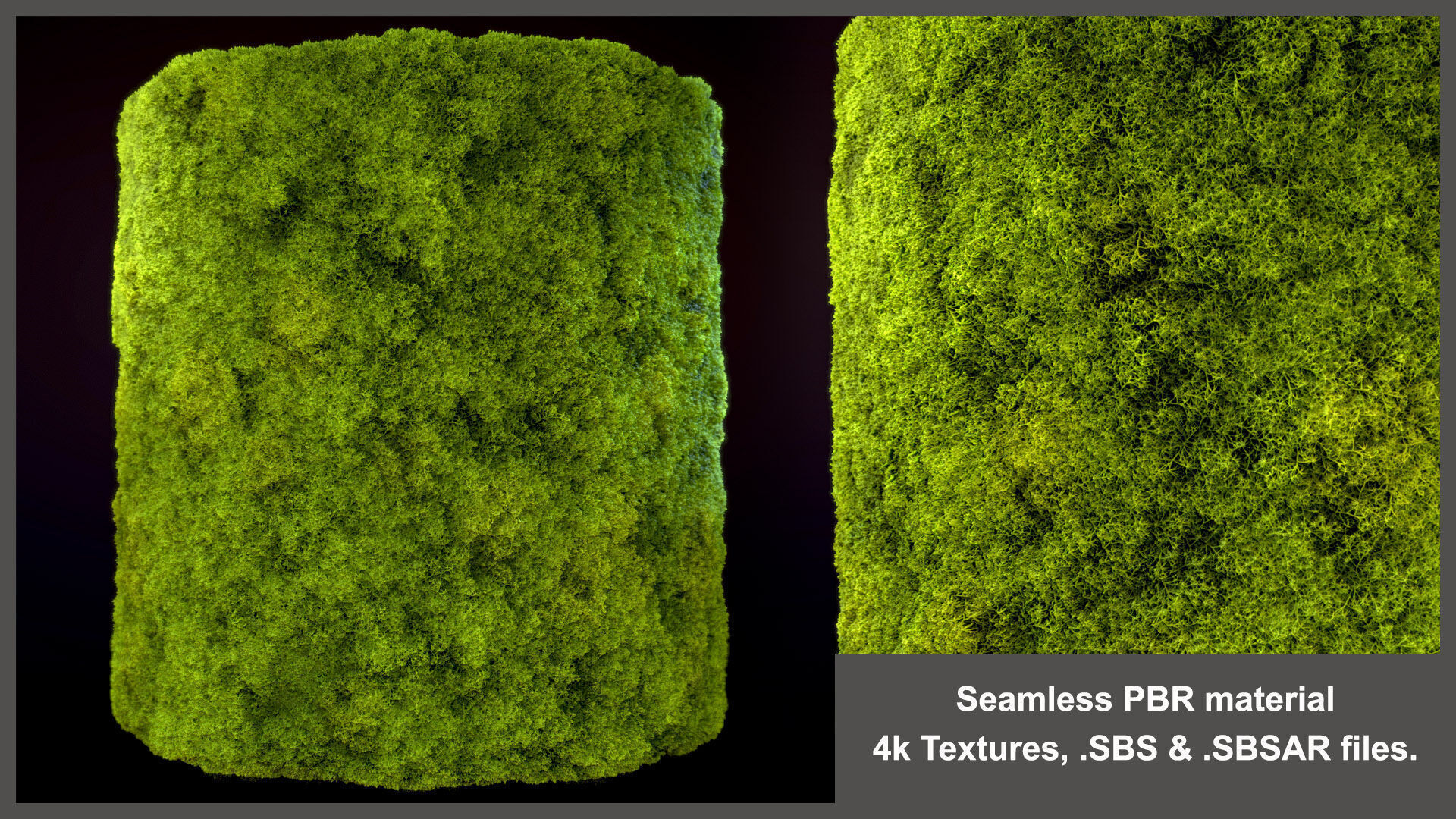 Seamless PBR Moss Substance Material Texture_4