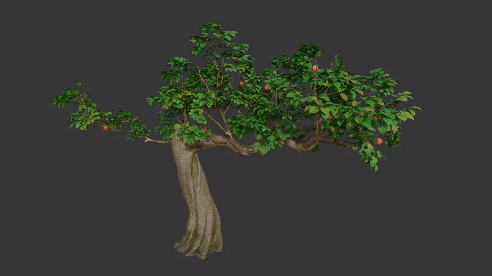 Apple Tree 3D model