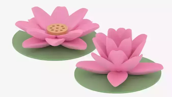 Cartoon Lotus Water Lily