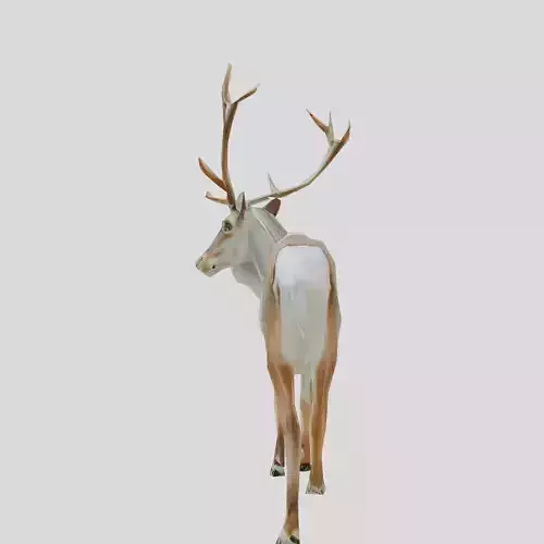 Majestic Deer 3D Model with Antler Details