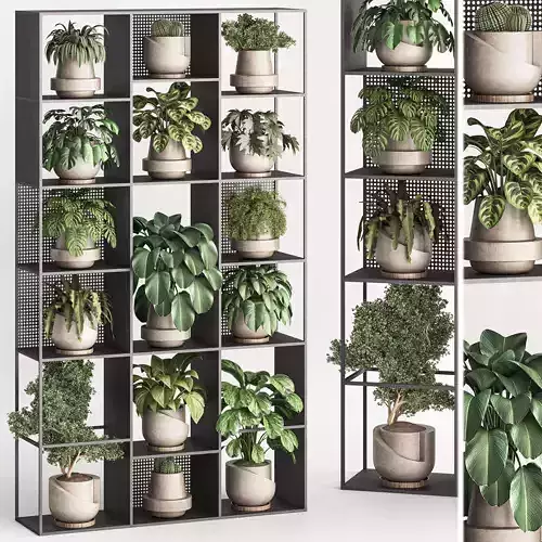 indoor plant and vertical plant in box set 91
