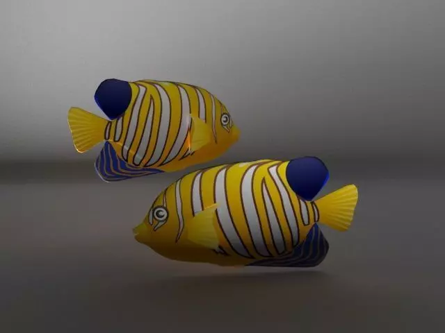 Angel Fish Low-poly 3D model