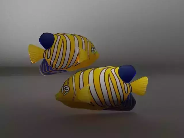 Angel Fish  Low-poly 3D model