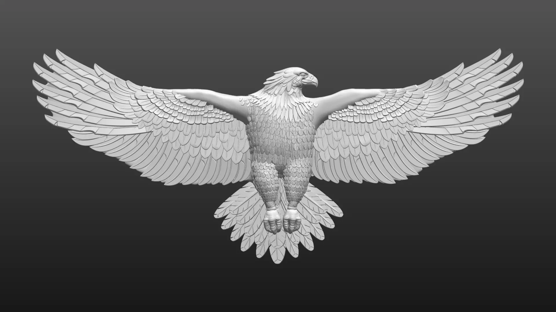 USA EAGLE 3D model_0