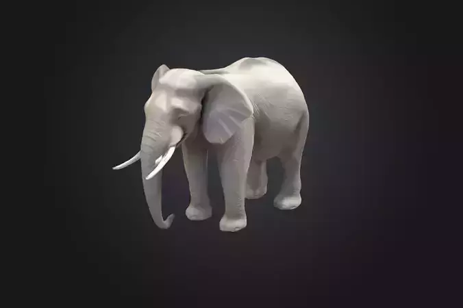 African Elephant - Neutral position