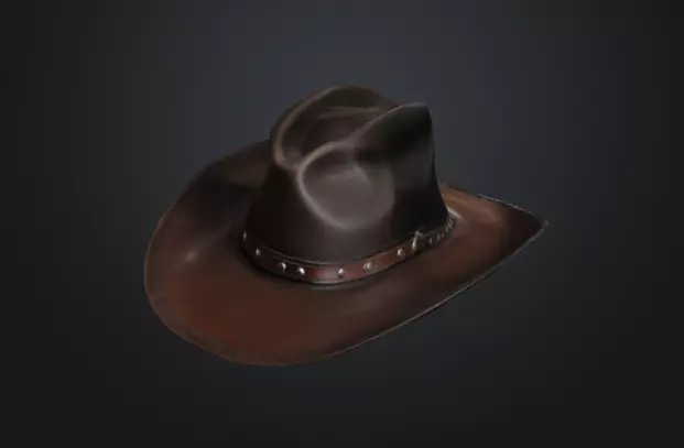 Cowboy hat 3D model_0