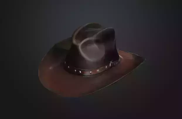 Cowboy hat