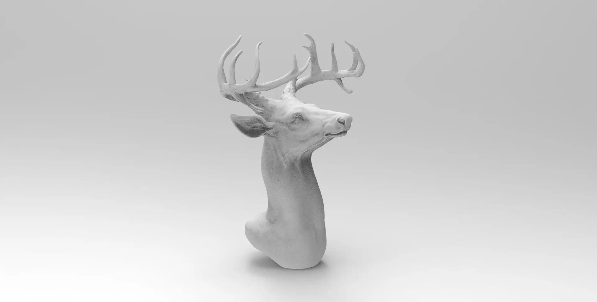 deer head 3D model_0
