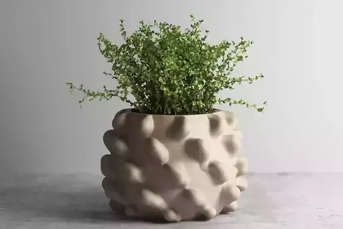 vase 3d print 813 