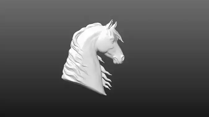flat horse head