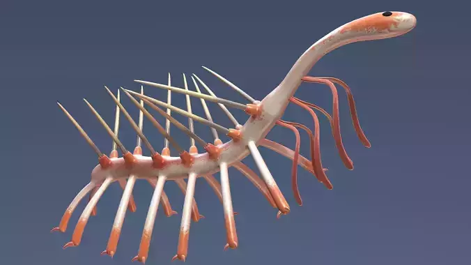 hallucigenia 3D model