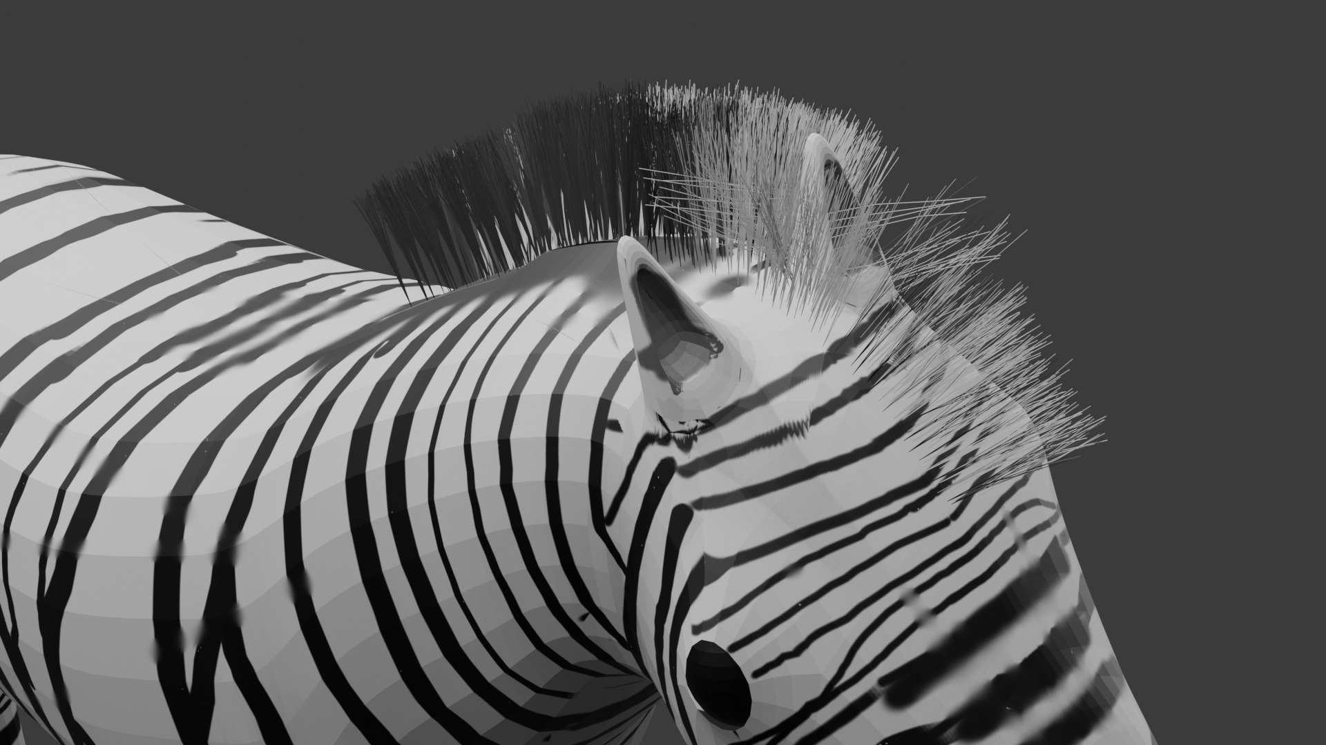 zebra model not animated Low-poly 3D model_8