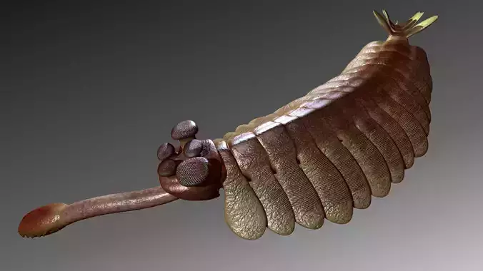 opabinia 3D model