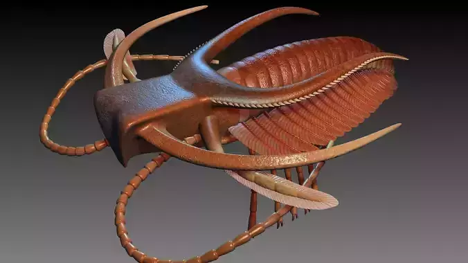 Marrella splendens 3D model
