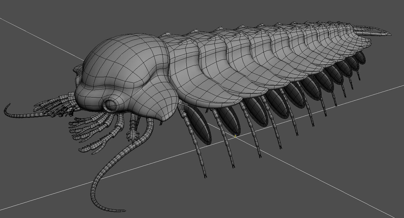 Sanctacaris 3D model_4