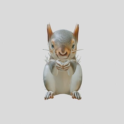 Realistic Squirrel on Branch 3D Model Low-poly 3D model