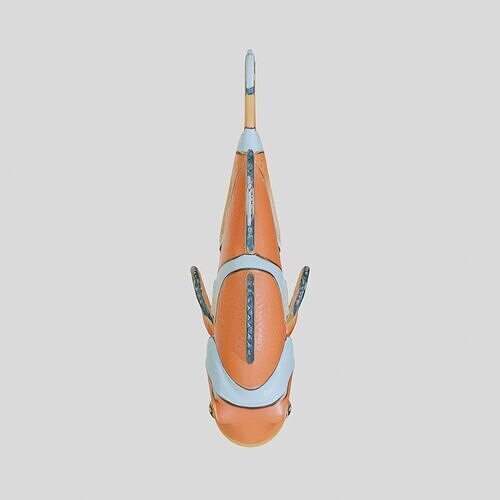 Clownfish Detailed 3D Model for Games and Rendering Low-poly 3D model