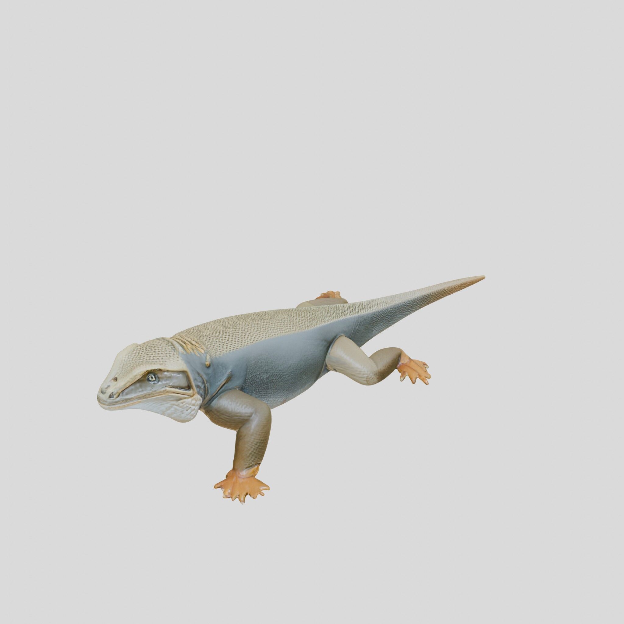 Realistic Lizard Reptile Model for Game and Animation Low-poly 3D model_8