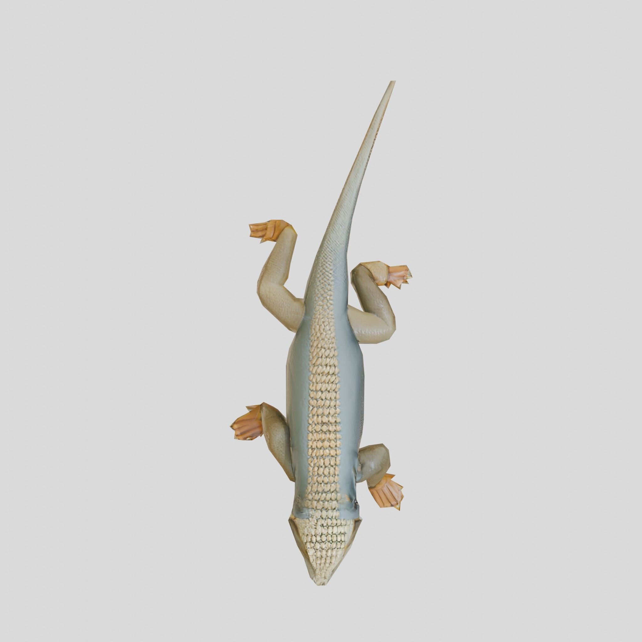 Realistic Lizard Reptile Model for Game and Animation Low-poly 3D model_22
