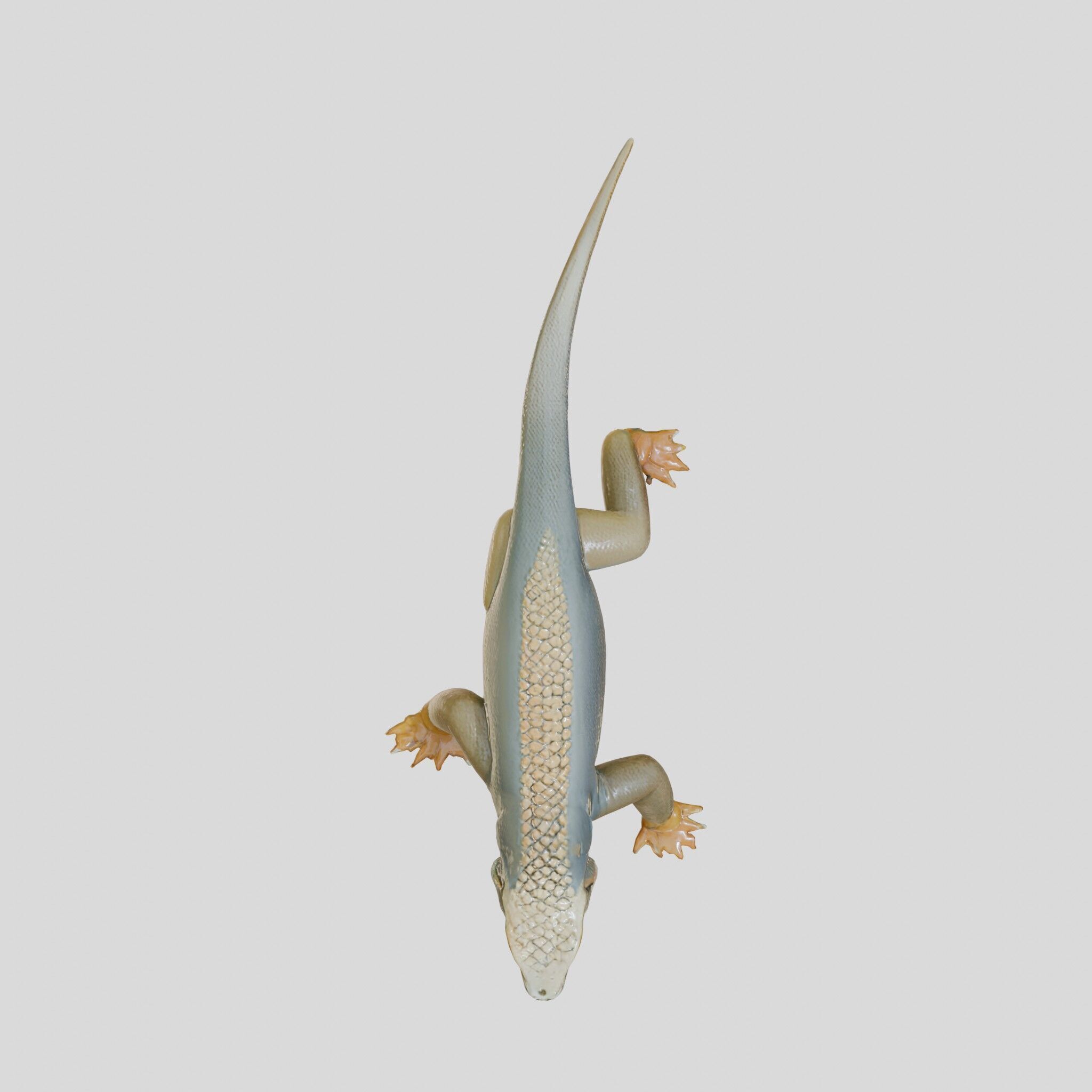 Realistic Lizard Reptile Model for Game and Animation Low-poly 3D model_21
