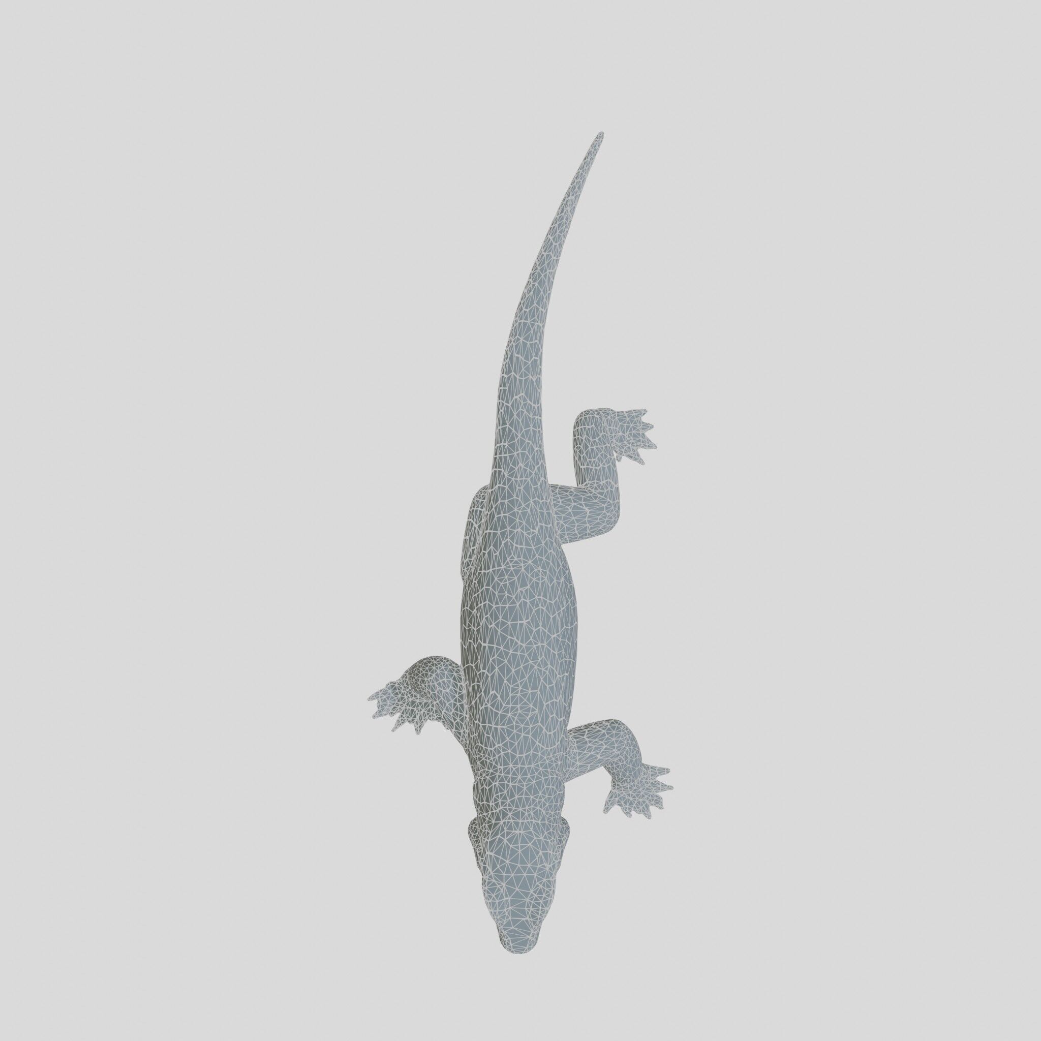 Realistic Lizard Reptile Model for Game and Animation Low-poly 3D model_24