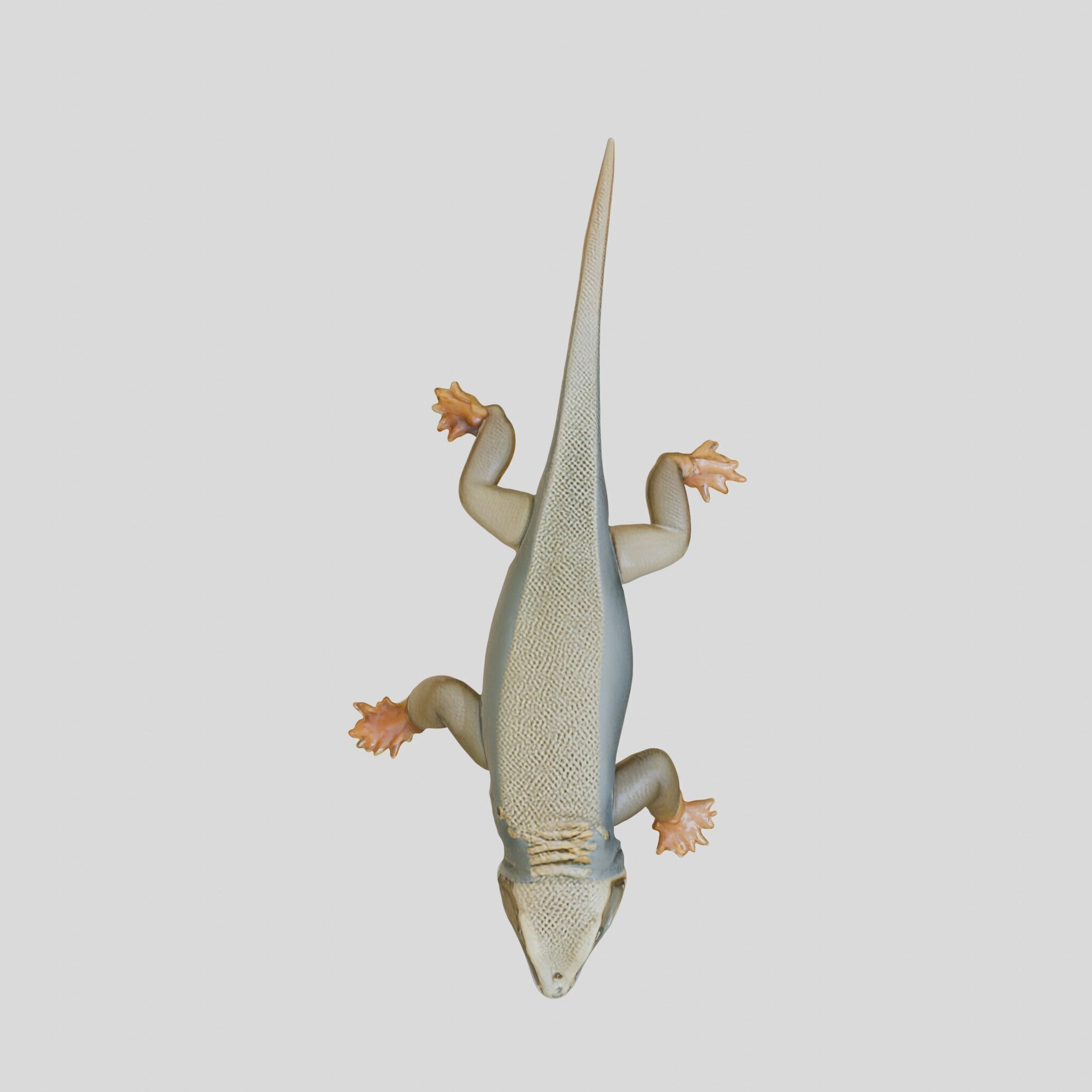 Realistic Lizard Reptile Model for Game and Animation Low-poly 3D model_20
