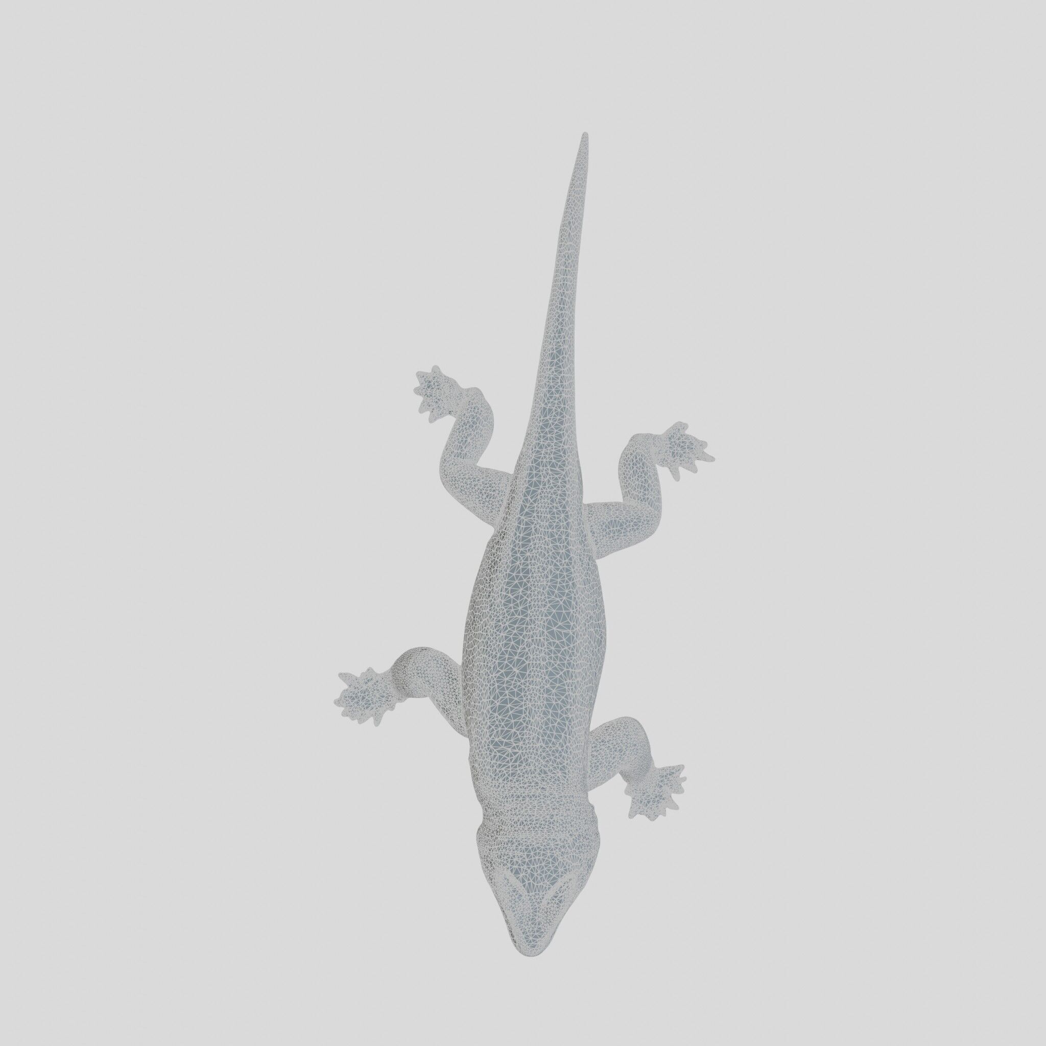 Realistic Lizard Reptile Model for Game and Animation Low-poly 3D model_23
