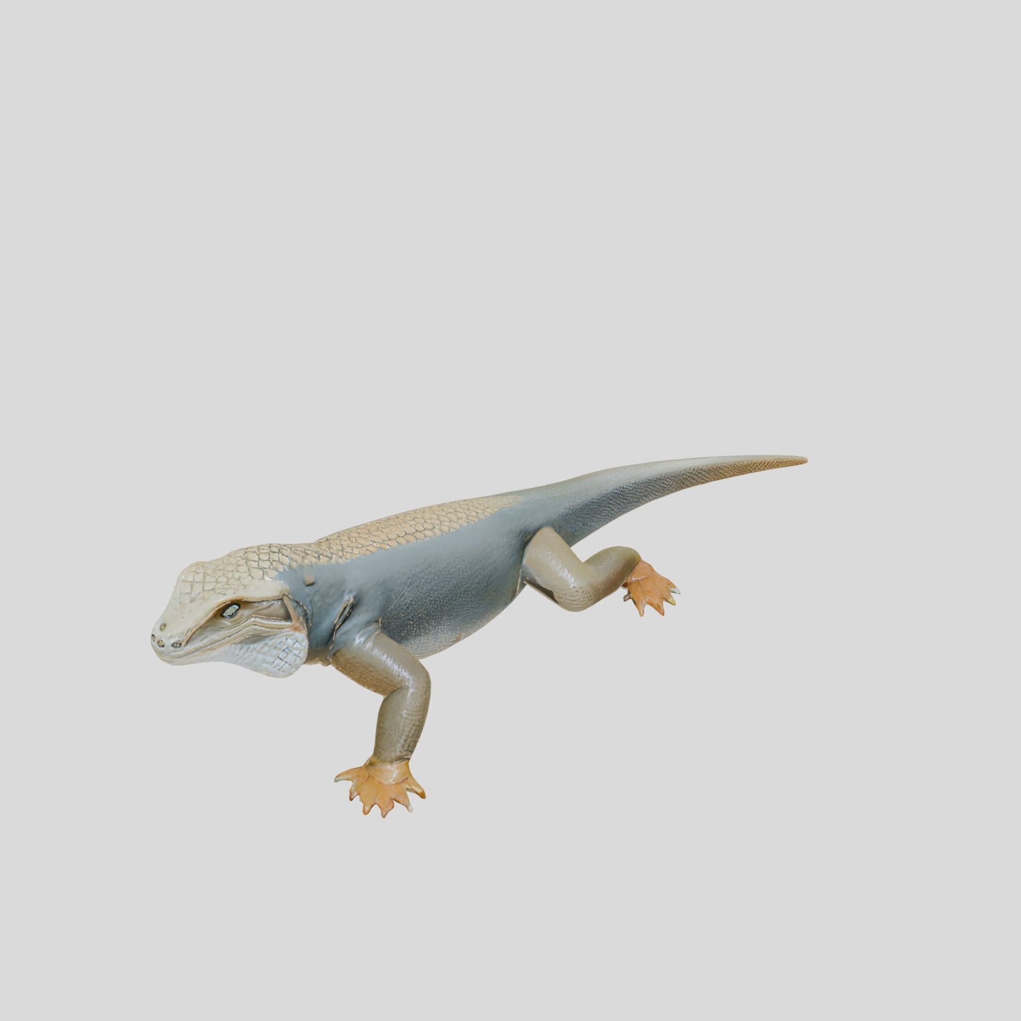 Realistic Lizard Reptile Model for Game and Animation Low-poly 3D model_9