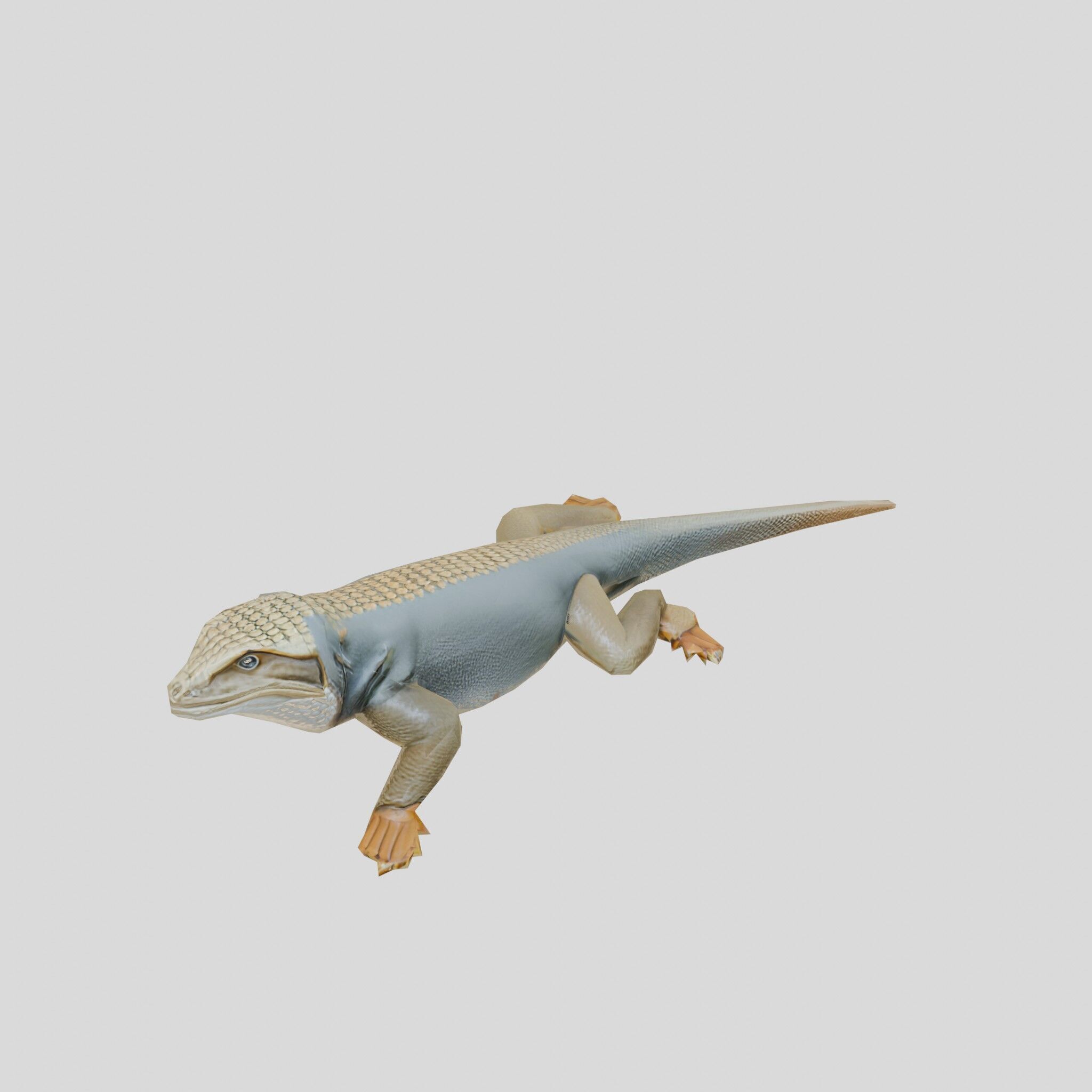 Realistic Lizard Reptile Model for Game and Animation Low-poly 3D model_10