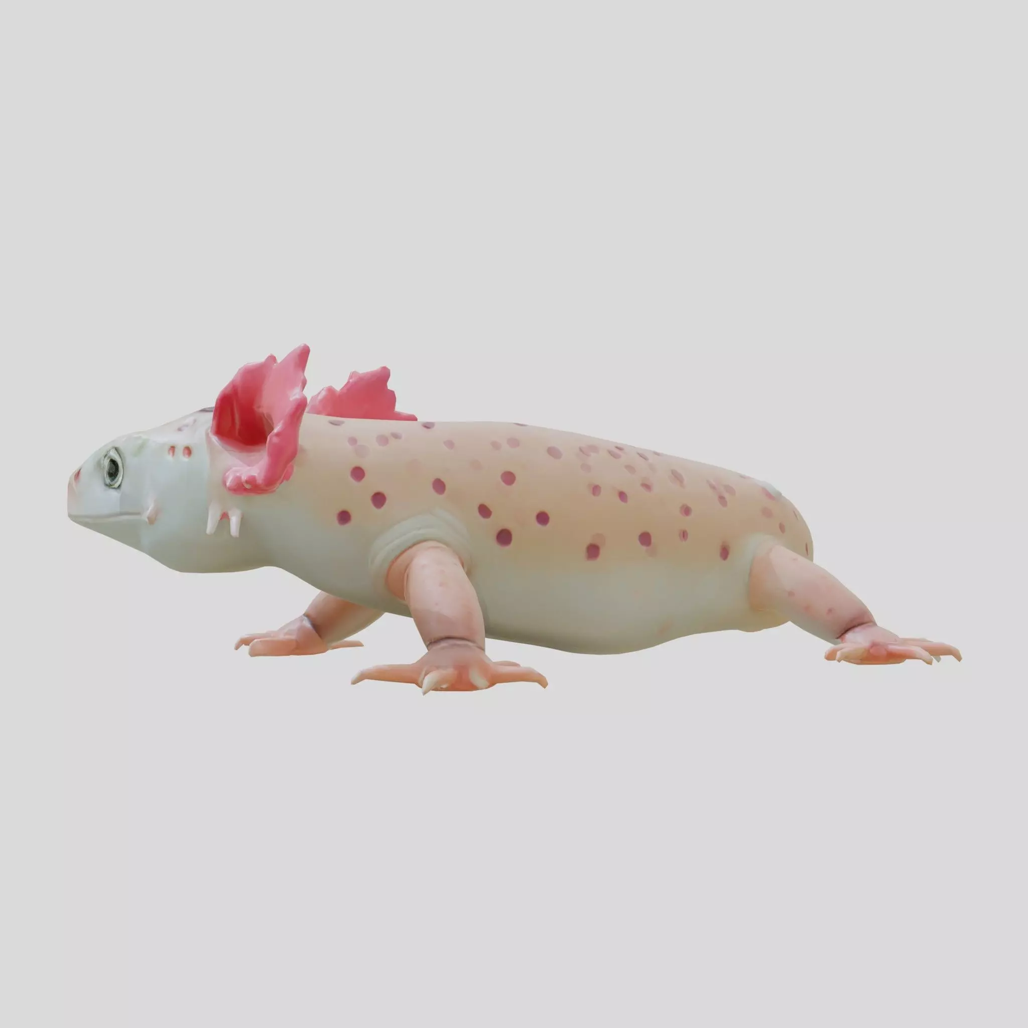 Axolotl Amphibian Creature Realistic 3D Model Low-poly 3D model