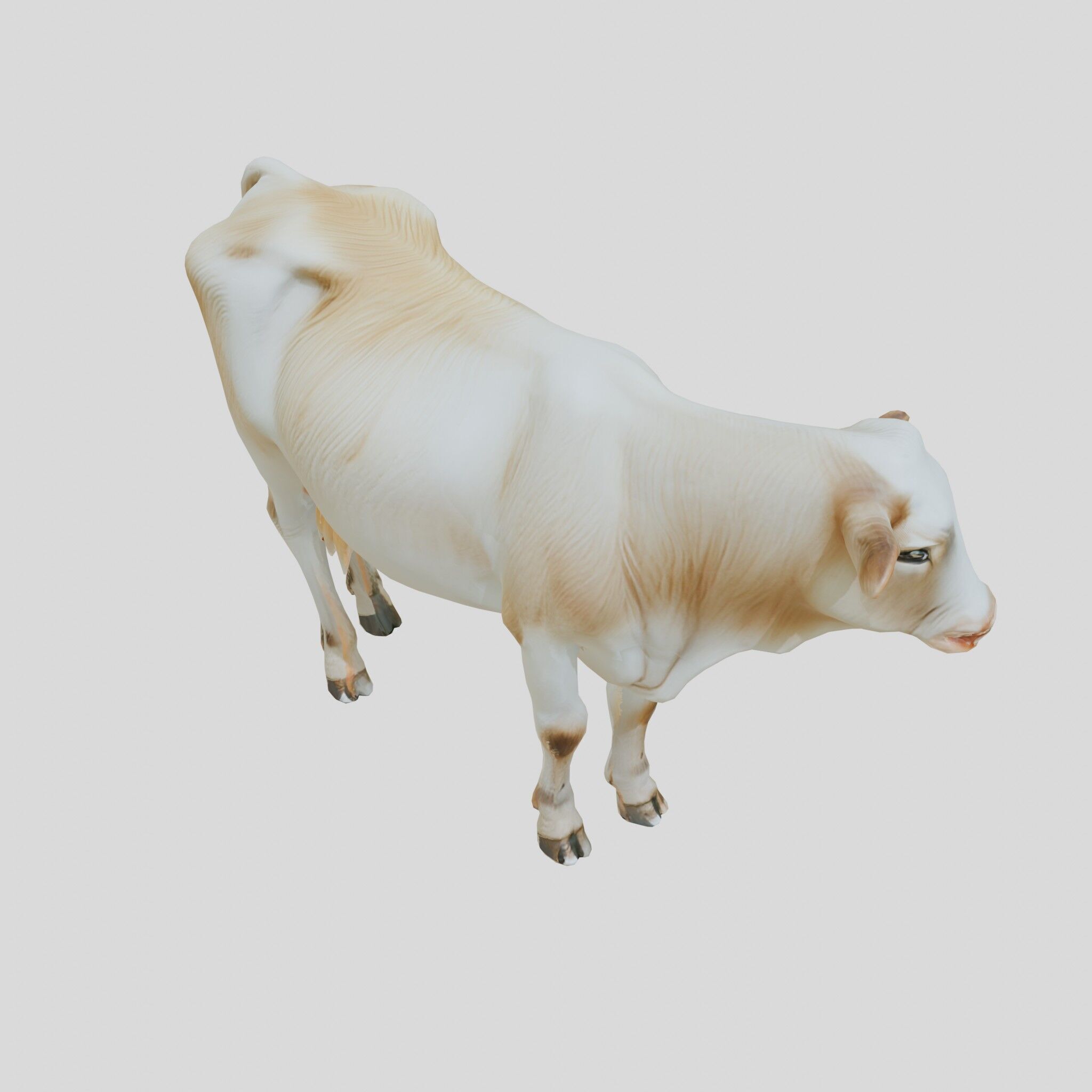 Detailed Realistic 3D Model of a Cow Low-poly 3D model_9
