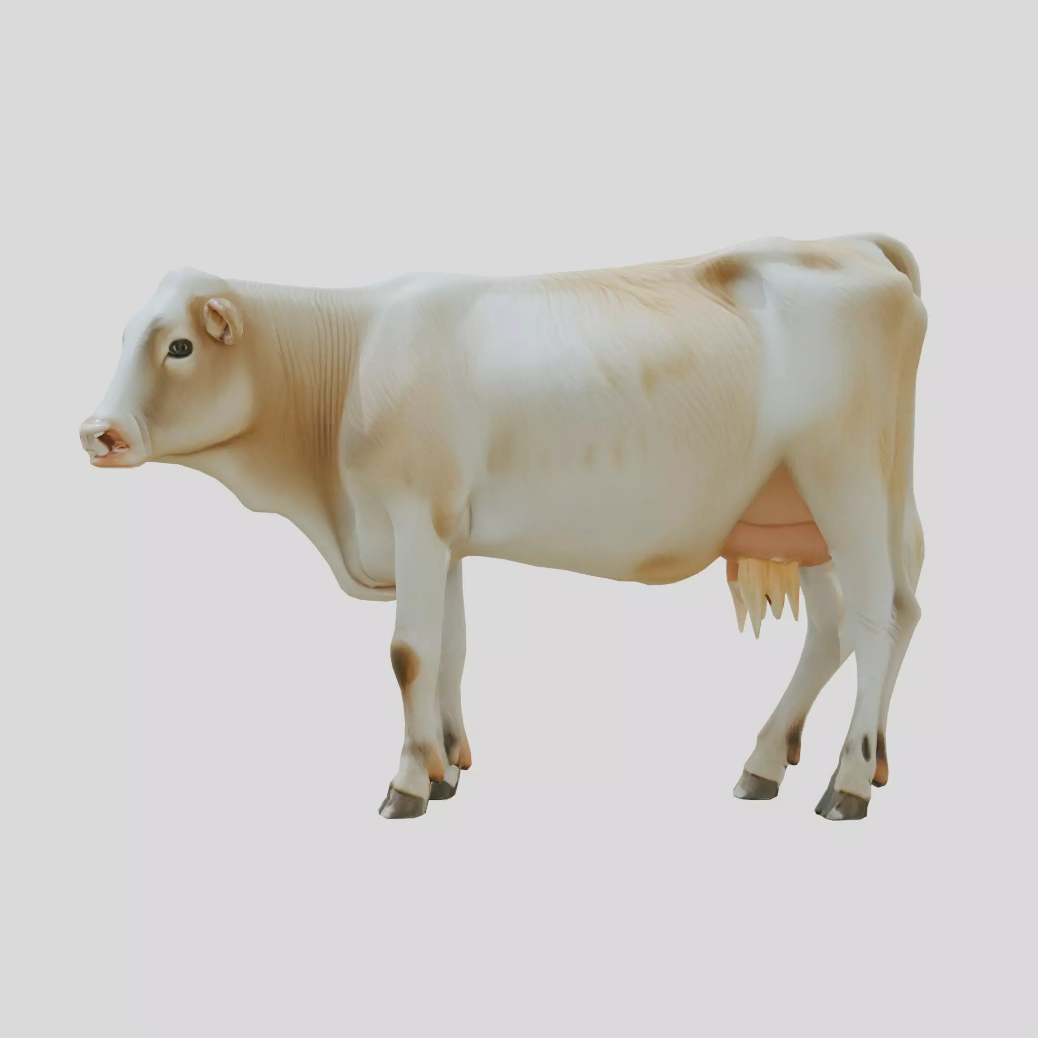 Detailed Realistic 3D Model of a Cow Low-poly 3D model_0
