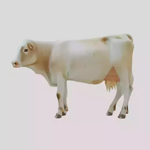 Detailed Realistic 3D Model of a Cow