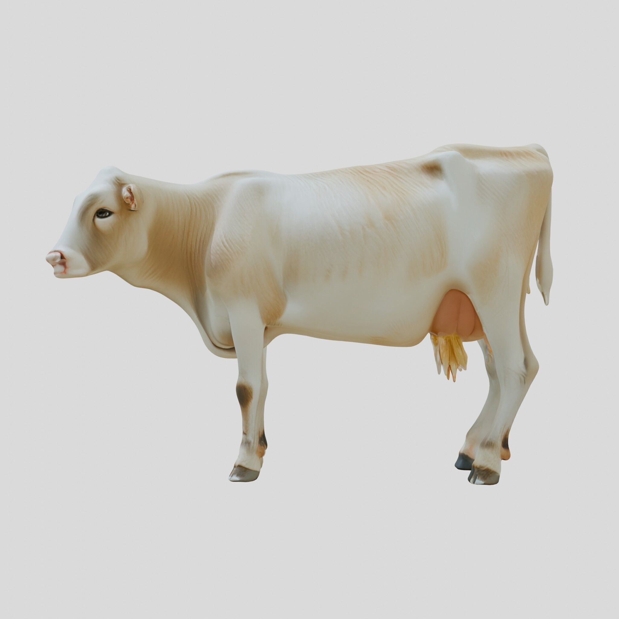 Detailed Realistic 3D Model of a Cow Low-poly 3D model_2
