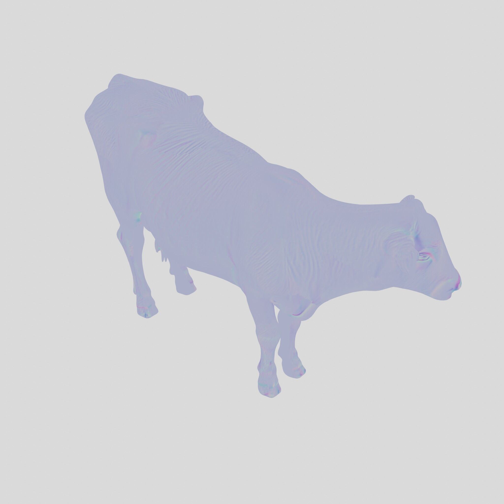Detailed Realistic 3D Model of a Cow Low-poly 3D model_26