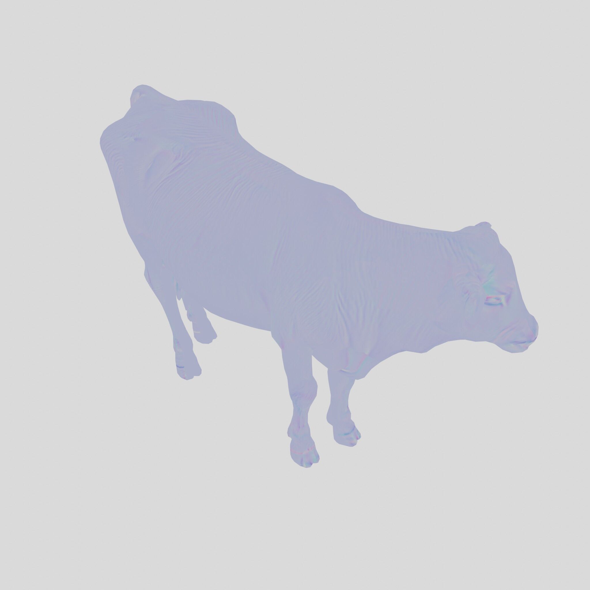 Detailed Realistic 3D Model of a Cow Low-poly 3D model_27