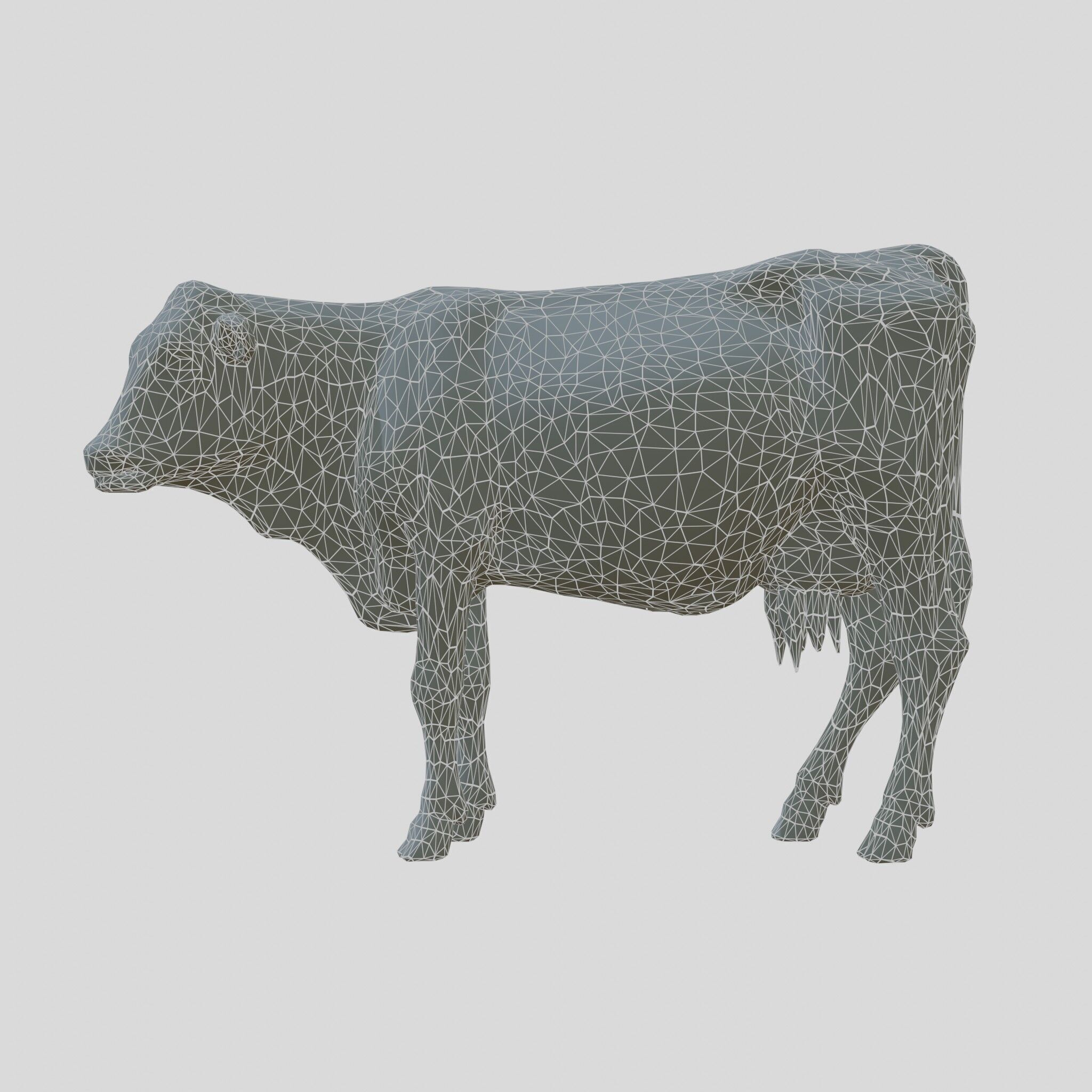 Detailed Realistic 3D Model of a Cow Low-poly 3D model_6