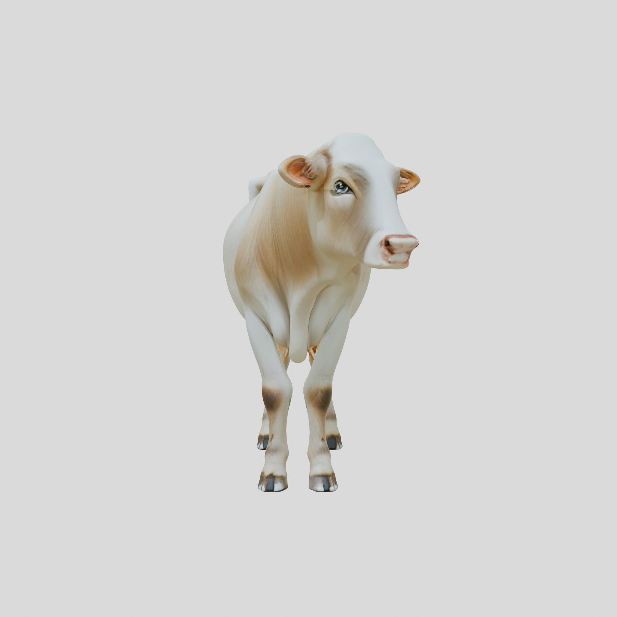 Detailed Realistic 3D Model of a Cow Low-poly 3D model_14